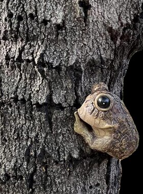 跨境新品亚马逊偷窥蛙爬树挂饰树脂工艺品装饰摆件花园艺庭院装饰