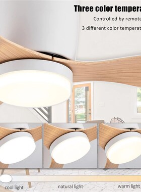 Ceiling Fan with LED Light DC motor 52 inch Large Air Volume