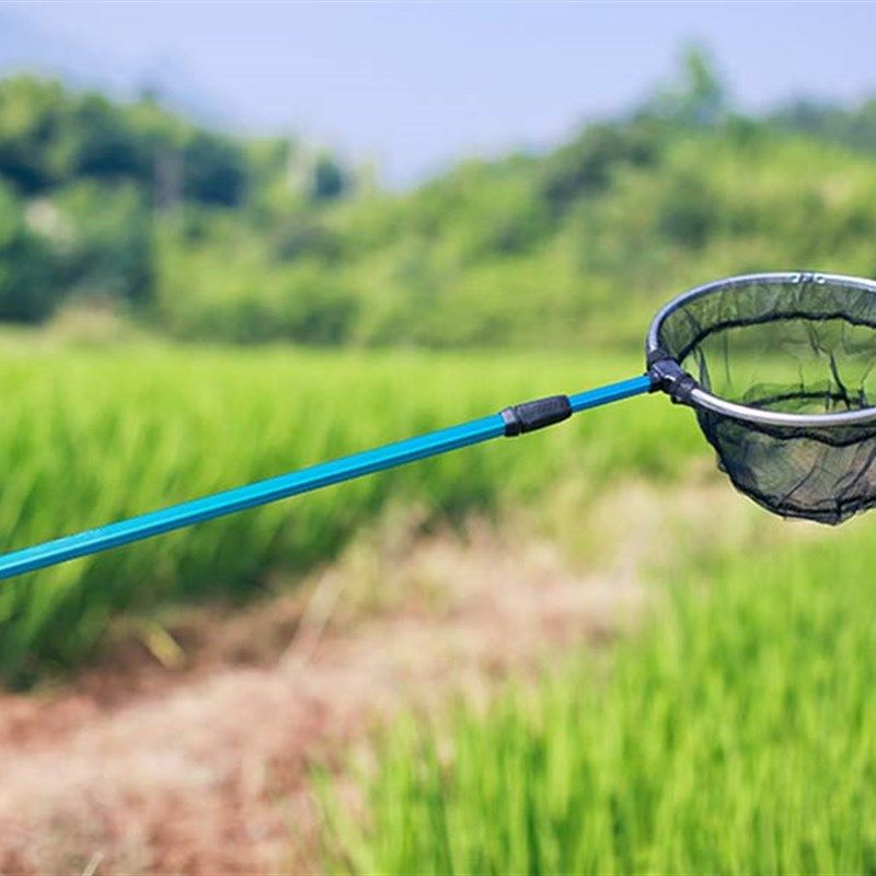 寻蝶园儿童伸缩捞鱼网小鱼网兜捞网龙虾蝌蚪 折叠捕虫网,户外/登山/野营/旅行用品,抄网杆,淘宝优惠券,粉丝福利购,淘宝优惠卷