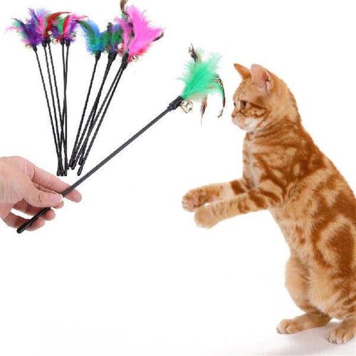 Cat Toy 5pcs Indoor Replacement Cat Feather interactive Toy
