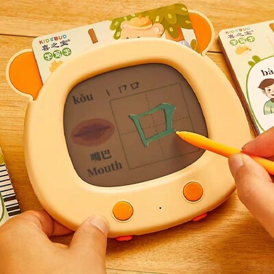 Flash Card Chinese Pinyin Language English Bilingual Learn M