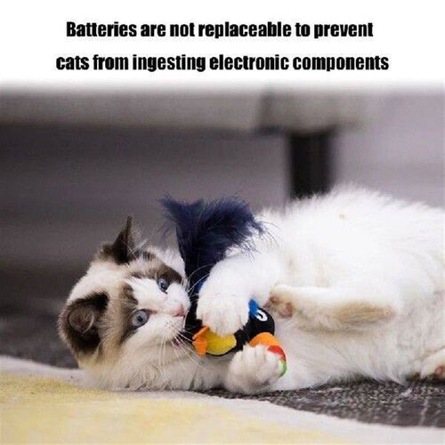 Cats Bird Cats Toy Kitten Squeaky Toy with Sound for Cats