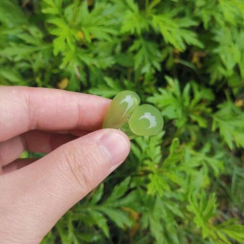 New Colorful Clear Resin Acrylic Geometric Round Ring For Wo