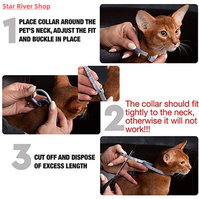 Pet Flea and Tick Collar for Dogs Cats Up To 8 Month Flea Ti