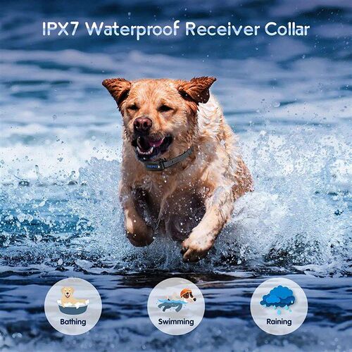 E-collar Dog Training Collar Rechargeable LCD Remote Shock P