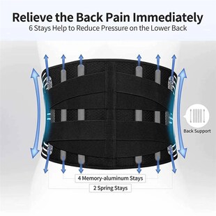 Belt Waist Support Elstiac Pad Back Trainer Lumbar