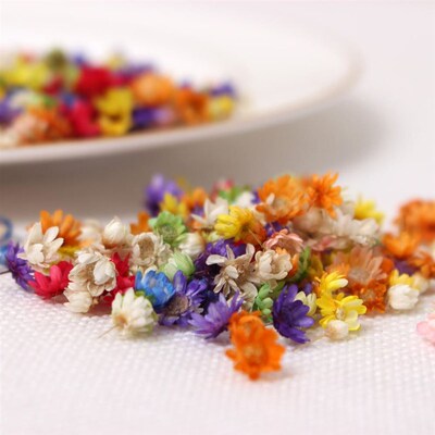 200pc Real Dried Flowers For DIY Art Craft Epoxy Resin Candl
