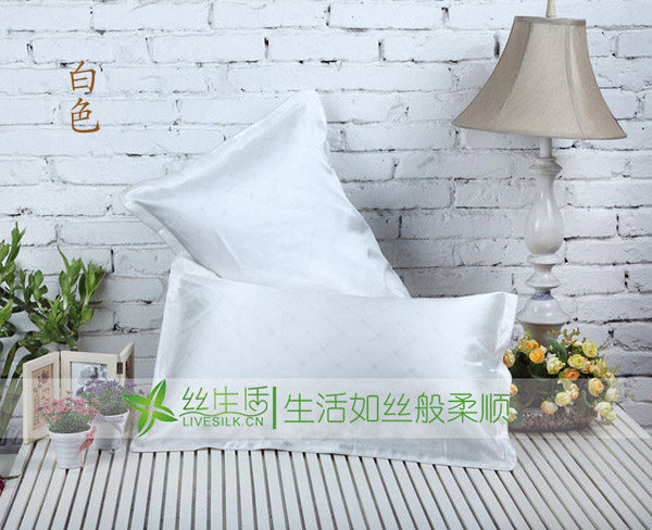 低价促 100%桑蚕丝面重磅真丝枕 枕头 银灰色每只,床上用品,枕套,淘宝优惠券,粉丝福利购,淘宝优惠卷