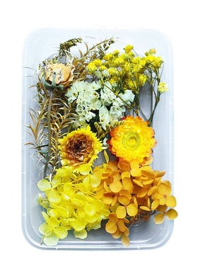 200pc Real Dried Flowers For  Art Craft Epoxy Resin Candl