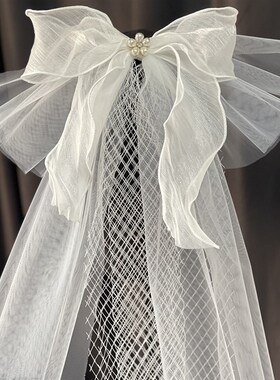 White Bridal Theme Veil Short for Photos Pearl HeadpieceWhit