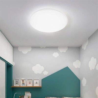 Ceiling Light Cover Ceiling Fixture Lampshade ornament