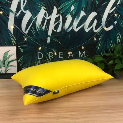 Pillow Healthy pillows feather velvet hotel pillow for bed