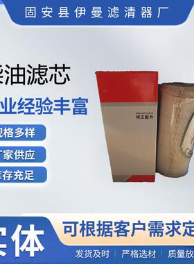 厂家供应60249072柴油滤芯加工