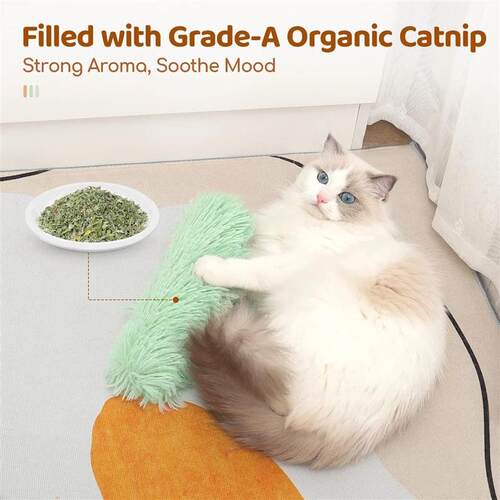 Catnip Toys Plush Cat Chew Toy Catnip Self-hi Bite Strip Pil