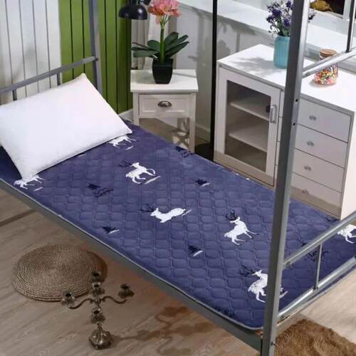 Single Foldable Thickened Mattress In Dormitory Tatami Mattr