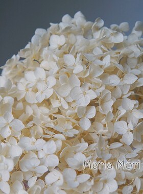 Colorful Preserved Hydrangea Home Decoration Wedding Decorat