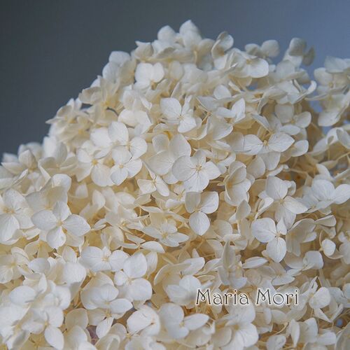 Colorful Preserved Hydrangea Home Decoration Wedding Decorat