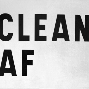 Cavalier King Charles Dogs Remember Spaniel House Please