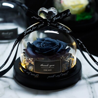 Beauty and the Beast Natural Preserved Flowers Eternal Rose