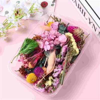 Flowers Dried Flower Pressed Dry Natural Mixed Resin
