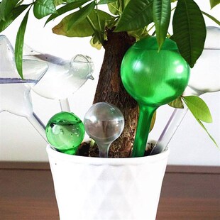 House/Garden Water Houseplant Plant Pot Bulb Automatic Self