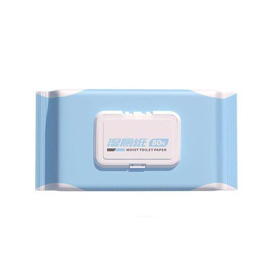 Family Value Pack of Flushable Wet Wipes for Women, Suitable
