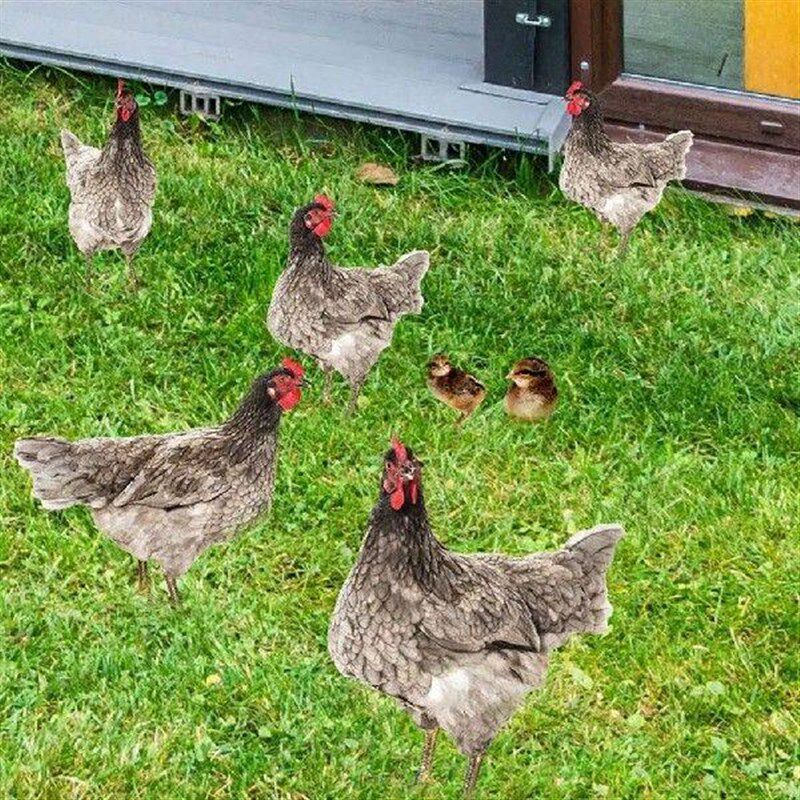 Ornamental Eco-friendly Rooster Decor Garden Statue Chicken