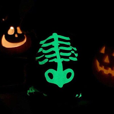 Pet Glow Costume Skeleton Jumpsuit for Small Medium Dogs