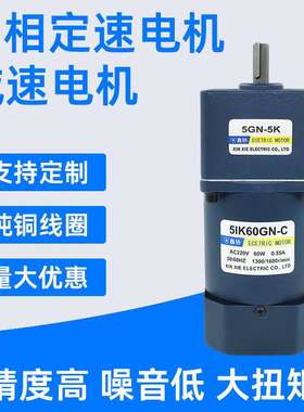 5IK60GN交流减速电机60W单相定速电机微型感应电动机马达可配刹车