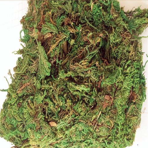 30g/bag 60g/bag Building model materials,green moss, turf, m