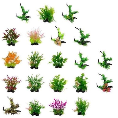 Fish Landscapings Simulation Aquatic Plant Aquarium