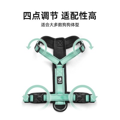 Dog leash for walking small and medium sized dogs