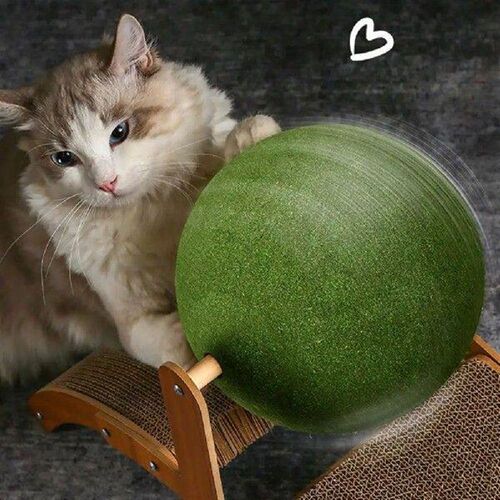 Joyful Cat Playtime Accessory Cat Scratching Ball Toy