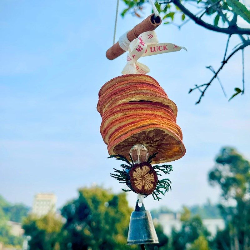 大橘大利橙片汽车挂件干花车挂装饰墙挂氛围平安心想事成车挂挂饰,汽车用品/电子/清洗/改装,车挂,淘宝优惠券,粉丝福利购,淘宝优惠卷