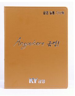 韩国点歌机金永V卡拉ok韩语点唱机配家用KTV点歌机