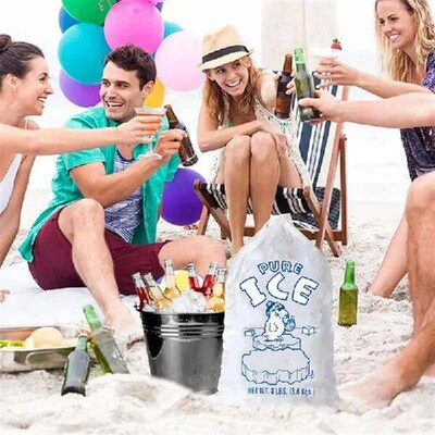 Ice Storage Bags 10pcs Antifreeze Ice Cube Pouches Ice