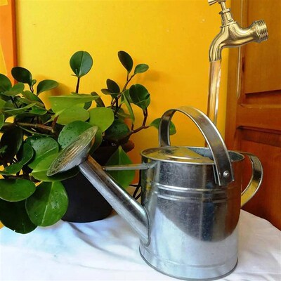 Invisible Flowing Spout Watering Can Fountain Floating Tap F
