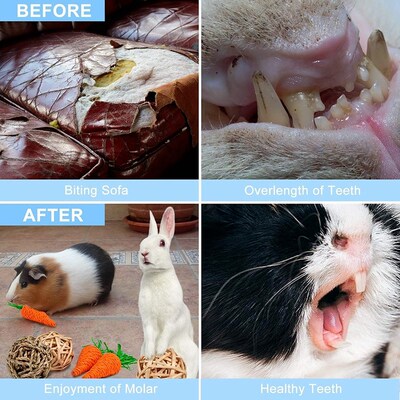 Small Pet Activity Toys,rabbit Teeth Chewing Toys,rodent Che