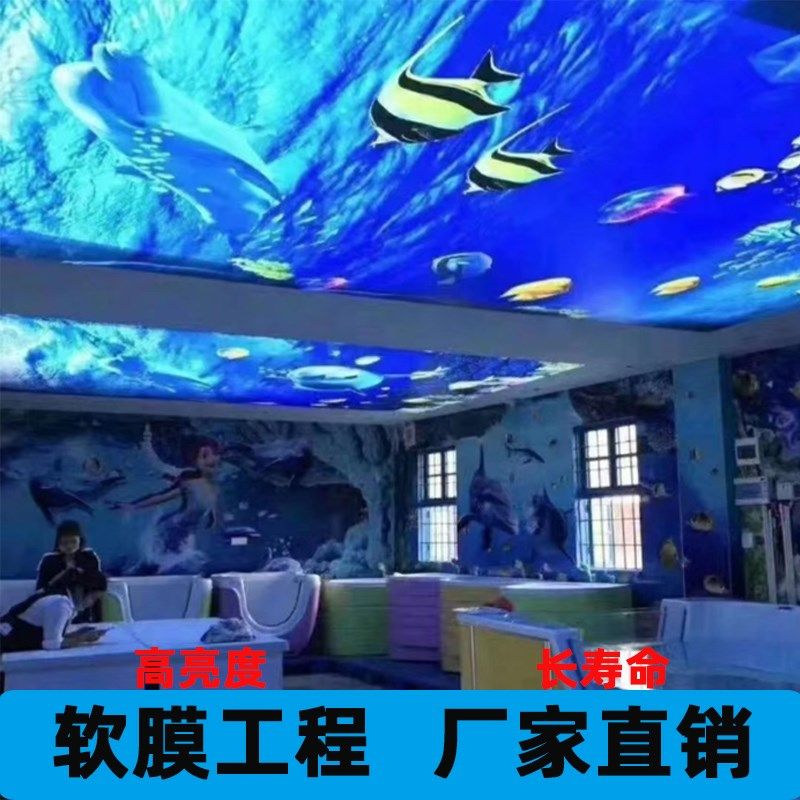 海底世界软膜天花吊顶uv高清画质白色透光膜LED 定制海底世界异型,商业/办公家具,灯箱布/软膜天花,淘宝优惠券,粉丝福利购,淘宝优惠卷