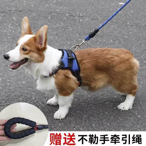 2019Dog leash medium large dogs walking harness collar chain