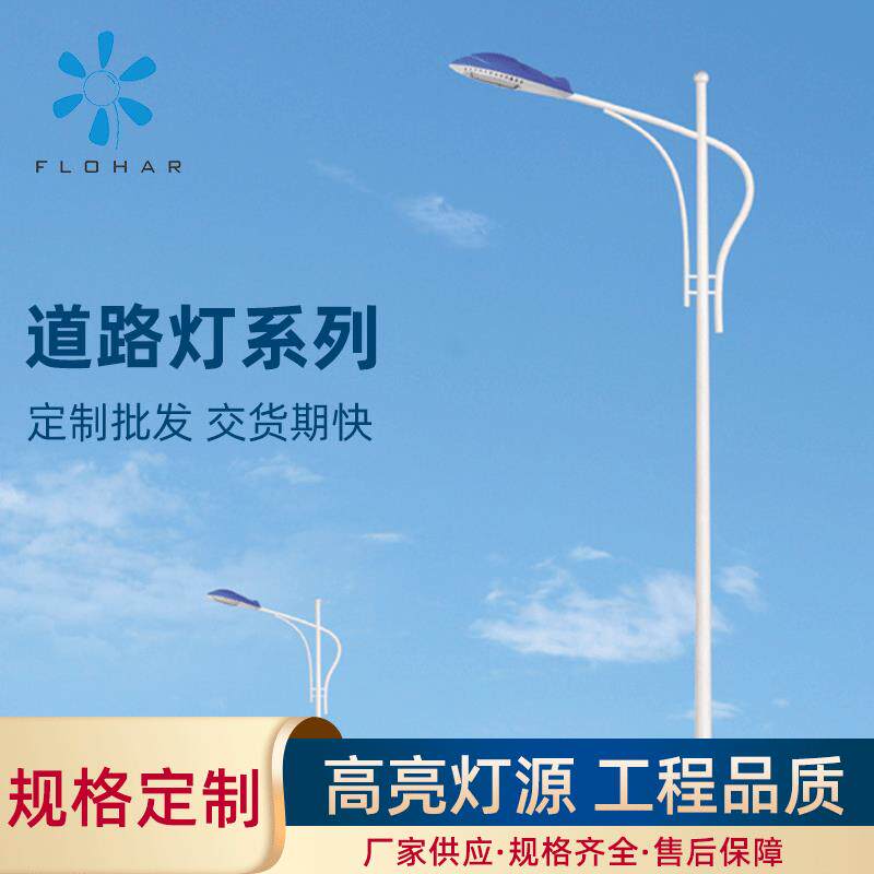 城乡市单臂路灯 街道小区太阳能路灯工程道路小区路灯LED路灯