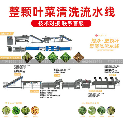 蔬菜清洗流水线自动输送土豆清洗机商用大型毛菜加工配送央厨设备