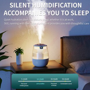 Double Air Outlets Spray Humidifier Type-C Silent Portablle