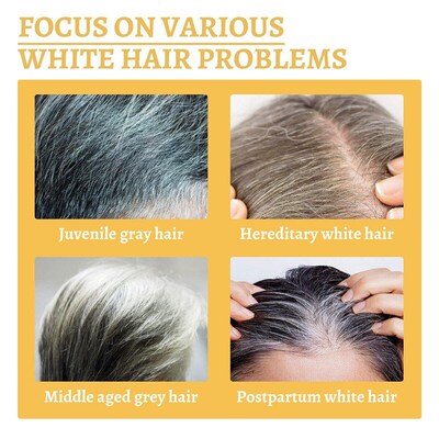 Black Ganoderma lucidum white to black black hair solution