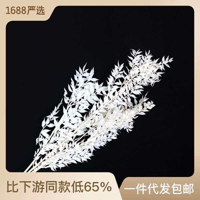 Bleached Fugui Leaf Eternal Flower Dried Flower  Material We
