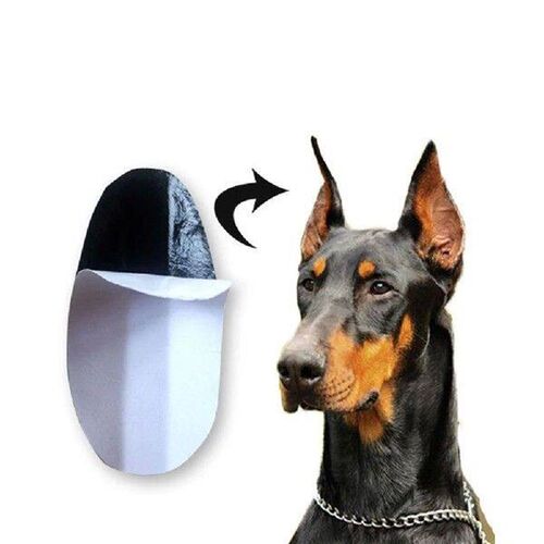 Dog Ear Stand up Support Stickers Earbuds Puppy Coffee