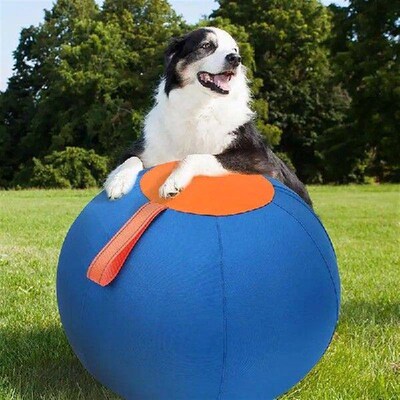 Interactively Dogs Outdoor Inflatable Ball Toy Molar