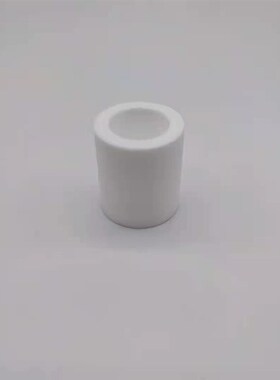 天怡祥VGT-100圆筒滤芯白色滤芯后置前置废气分析仪