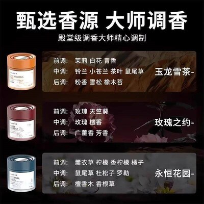 2025 New Model Car Fragrance, Long-lasting Scent, Air Purify