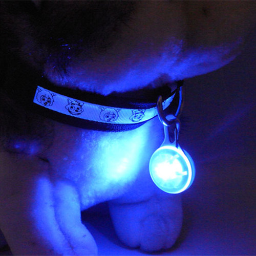 LED Pet Dog Collar Pendant Glowing Night Safety Pendant Port